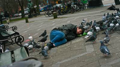 Hjemløs mand ligger sammenkrøllet på gaden i København. Rundt om ham er en stor gruppe af duer.